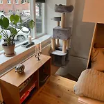Spacious In