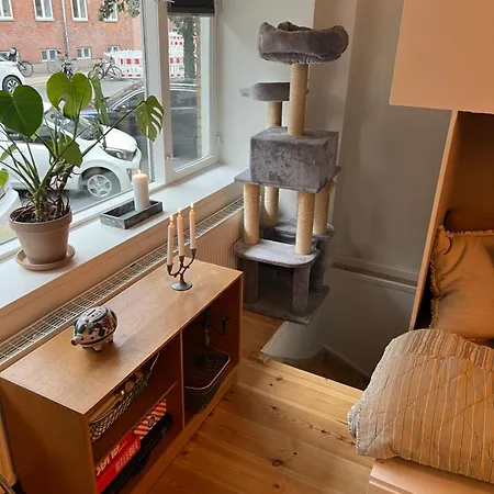 Spacious In